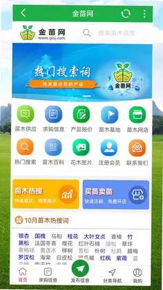 金苗网预览图