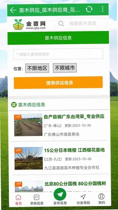 金苗网预览图