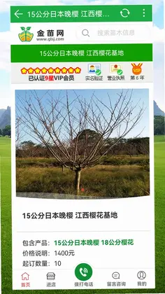 金苗网预览图