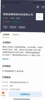 铜陵人才网预览图