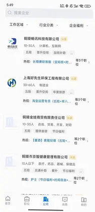 铜陵人才网预览图