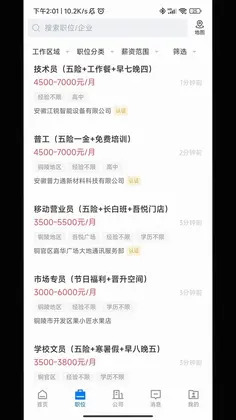 铜陵人才网预览图