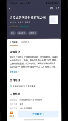 铜陵人才网预览图
