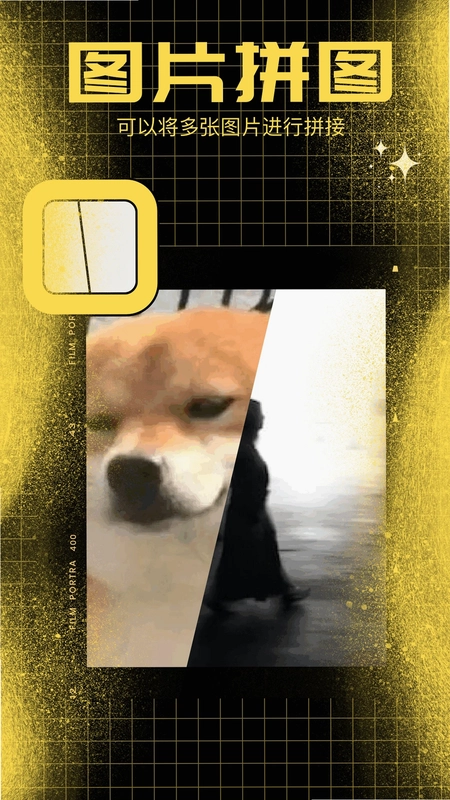 百变熊猫app预览图