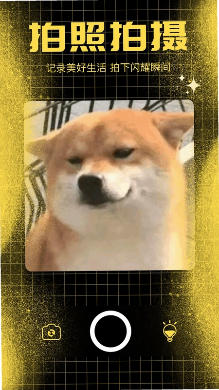 百变熊猫app预览图