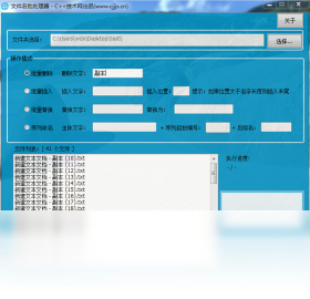 完美文件名批处理器替换功能演示