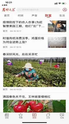 农村大众预览图