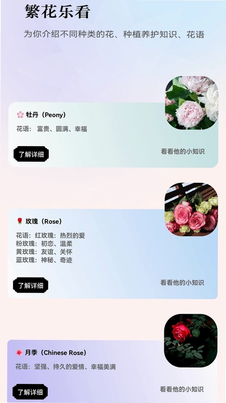 繁花乐看预览图