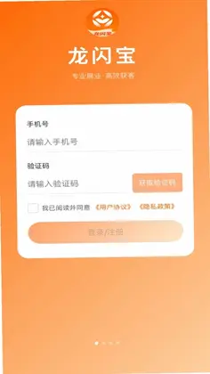 龙闪宝预览图