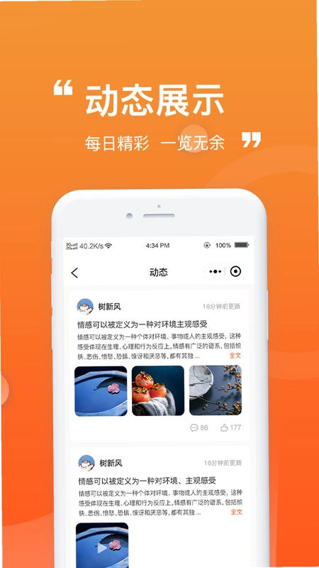 懒猪线上菜市场预览图