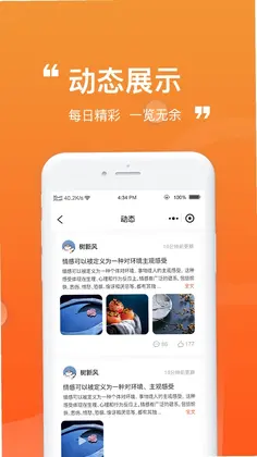懒猪线上菜市场预览图