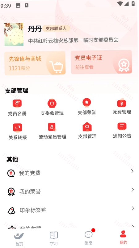 雄安党建预览图