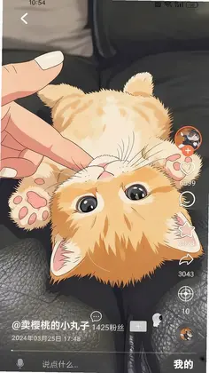 ����Ԥ��ͼ