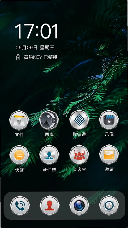 微铂预览图