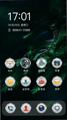 微铂预览图
