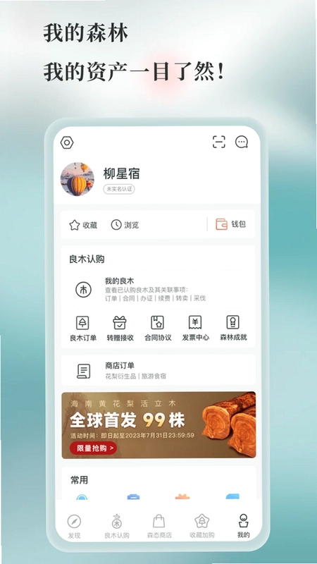 良木森林预览图