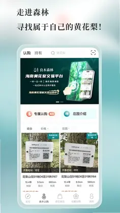 ��ľɭ��Ԥ��ͼ
