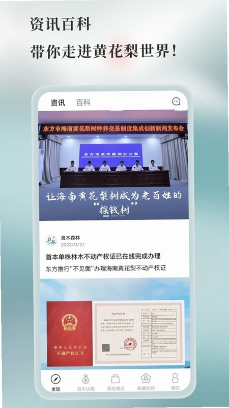 良木森林预览图