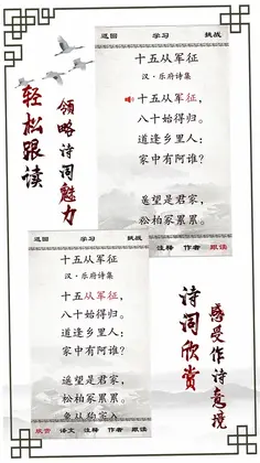 小学必背古诗预览图