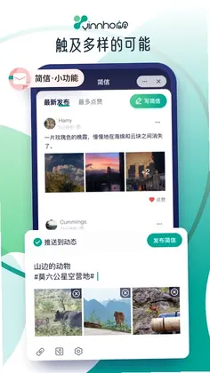 应合预览图