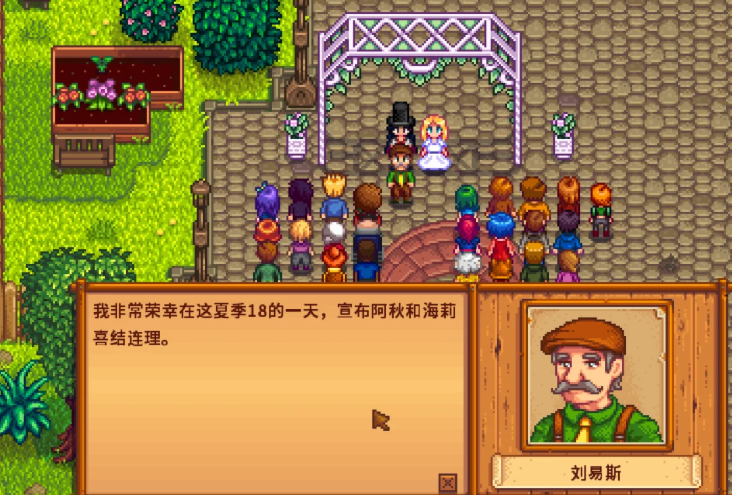 星露谷物语结婚婚礼现场截图