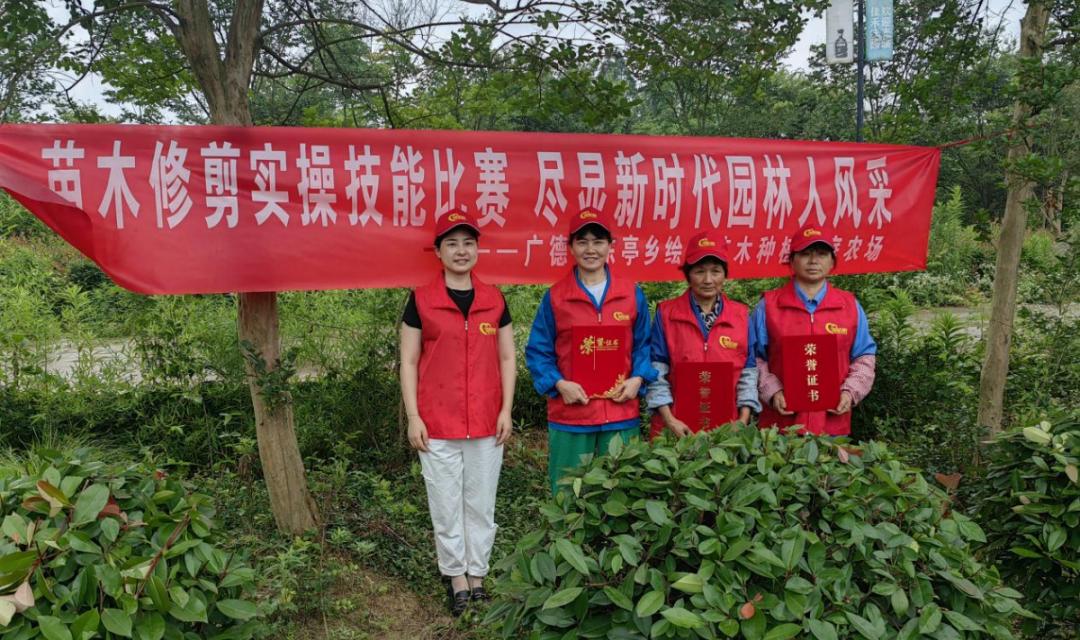 购苗木省钱实操经验总结