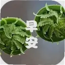 �����簲1.6.6 ��׿��