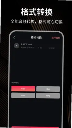 小熊猫辅助助手预览图