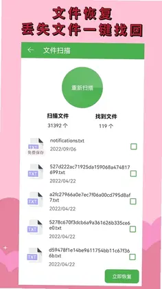 照片恢复预览图