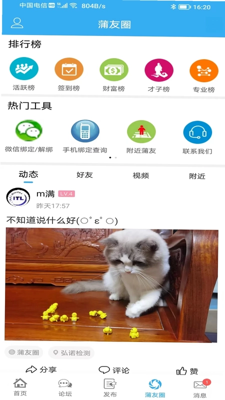 蒲公英预览图