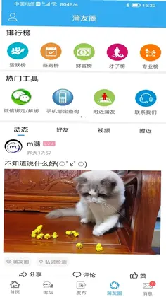 蒲公英预览图