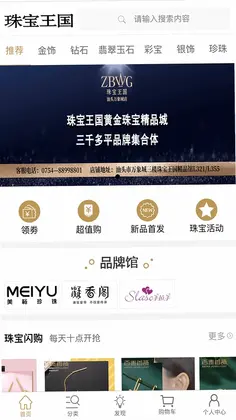 珠宝王国预览图