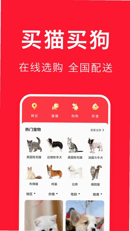 宠物宝预览图
