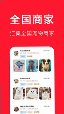 宠物宝预览图