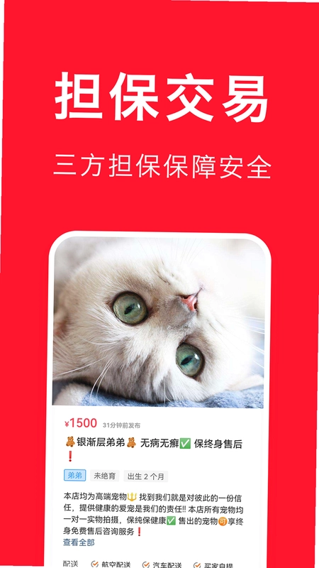 宠物宝预览图