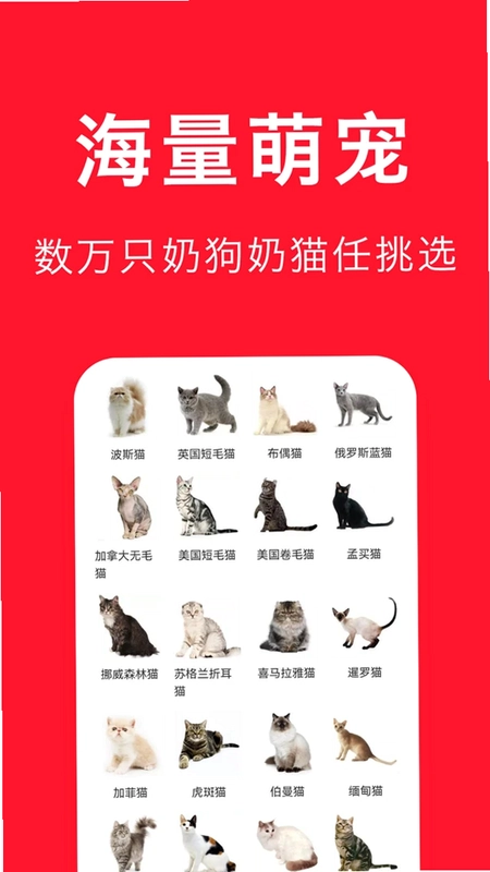 宠物宝预览图
