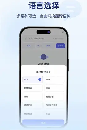 直译预览图
