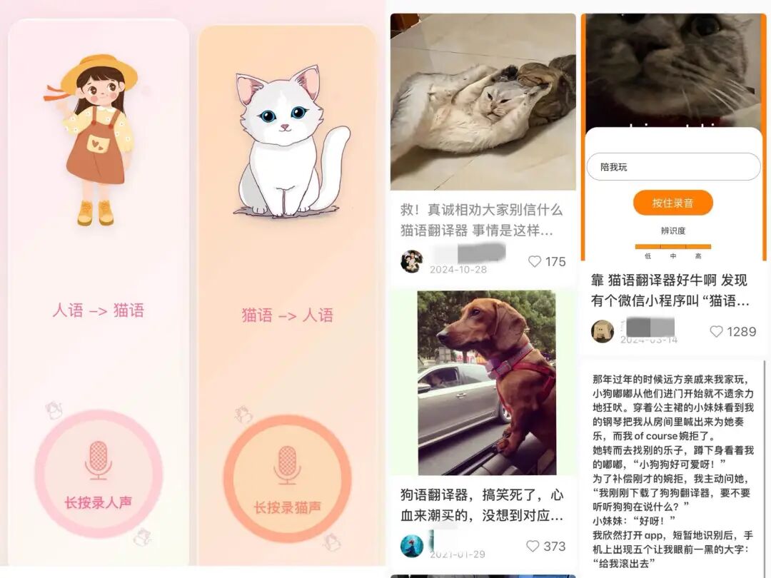 猫语翻译pet实时翻译功能实际测试