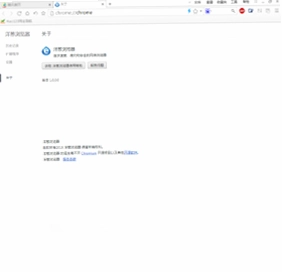 洋葱浏览器预览图