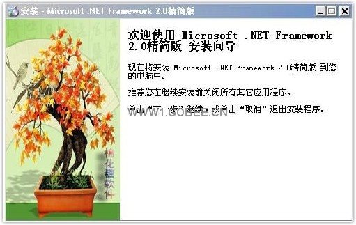 Microsoft.NET 