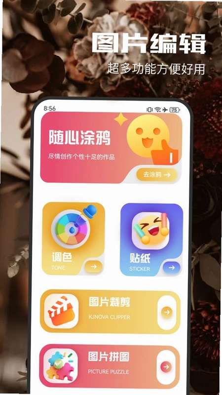 趣夜预览图