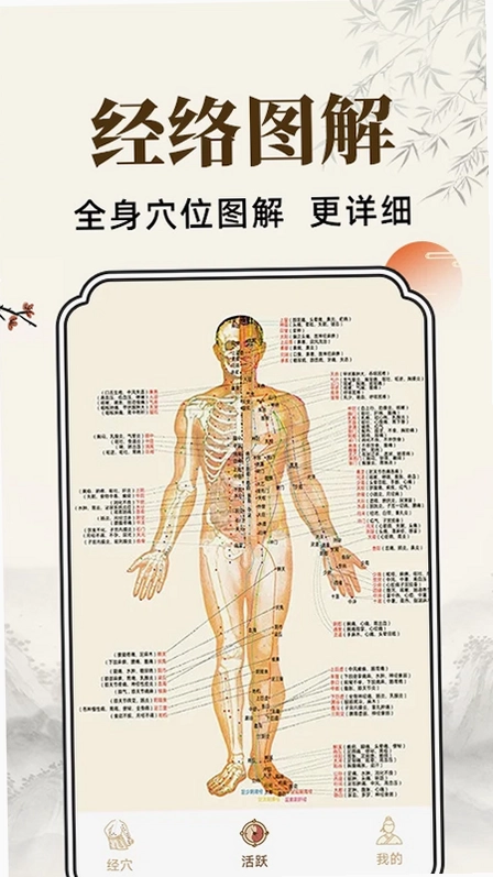 穴位经脉详解预览图