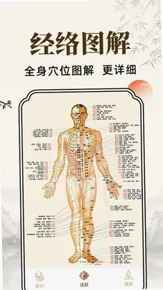 穴位经脉详解预览图