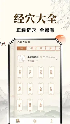 穴位经脉详解预览图