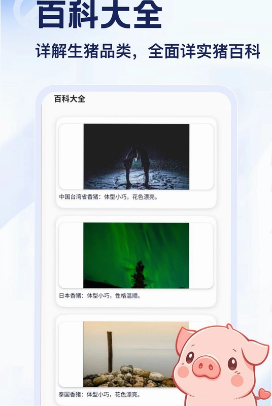 猪了又猪预览图