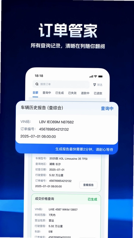 柠檬车况查询预览图