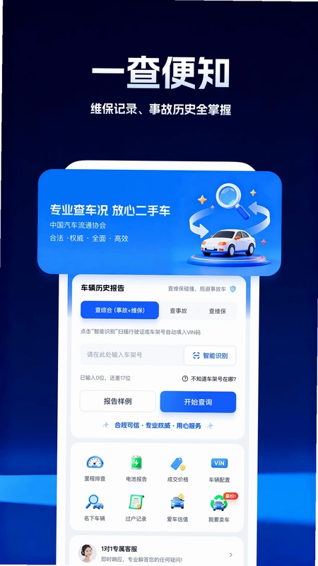 柠檬车况查询预览图