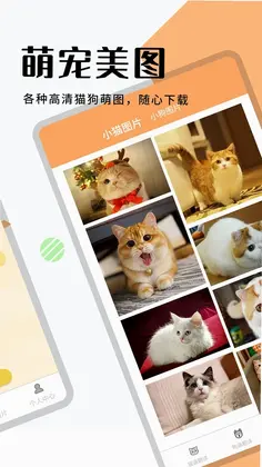 猫狗翻译器软件预览图