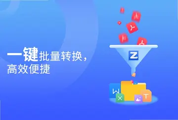 转转大师PDF转换器最新版预览图