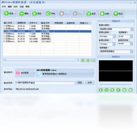 枫叶MKV视频转换器预览图